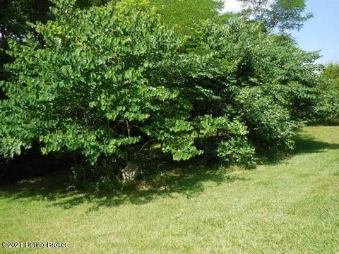 183 Ridgeway Ct, Pendleton, KY 40055 photo 33