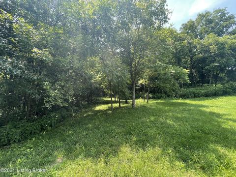 396 Mccoy Ln, Webster, KY 40176 photo 7