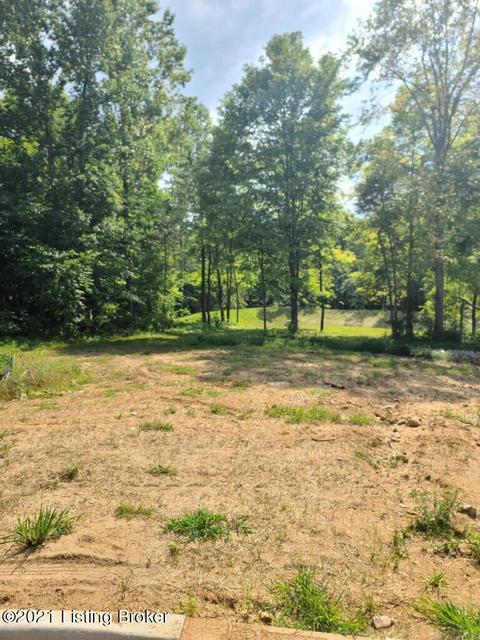 4205 Ballard Ridge Ct #LOT 4, Smithfield, KY 40068
