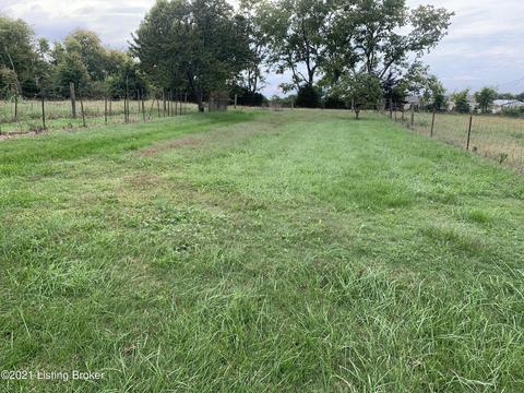 933 Walker Ln, Springfield, KY 40069 photo 9