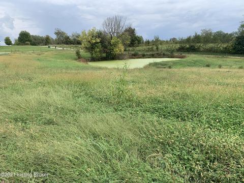 933 Walker Ln, Springfield, KY 40069 photo 8