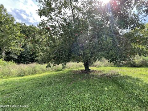 2375 Ky-376, Webster, KY 40176 photo 39