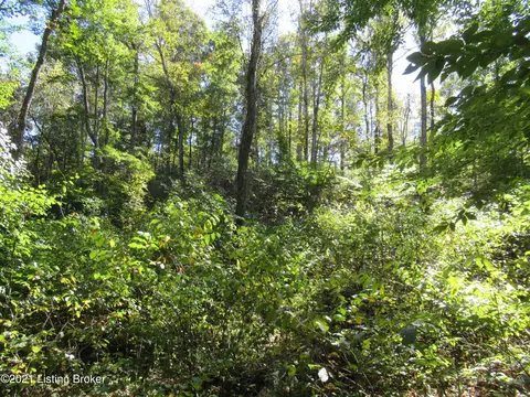 575 Neeper Rd, Edmonton, KY 42129 photo 25