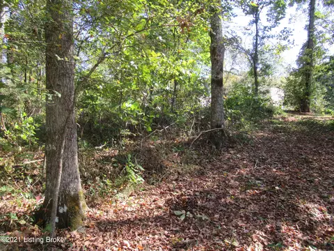 575 Neeper Rd, Edmonton, KY 42129 photo 19