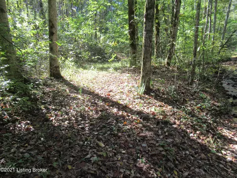 575 Neeper Rd, Edmonton, KY 42129 photo 24