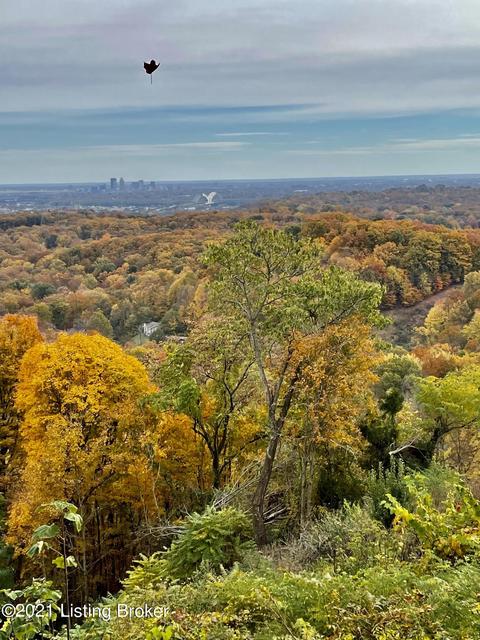 2011 Murvin Dr, Floyds Knobs, IN 47119 photo 63