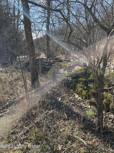 7901 Organ Creek Rd, Pendleton, KY 40055 photo 16