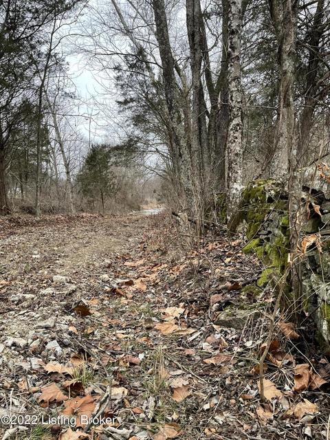 7901 Organ Creek Rd, Pendleton, KY 40055 photo 8