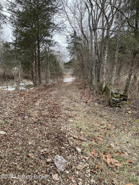 7901 Organ Creek Rd, Pendleton, KY 40055 photo 7