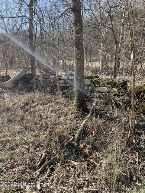 7901 Organ Creek Rd, Pendleton, KY 40055 photo 14