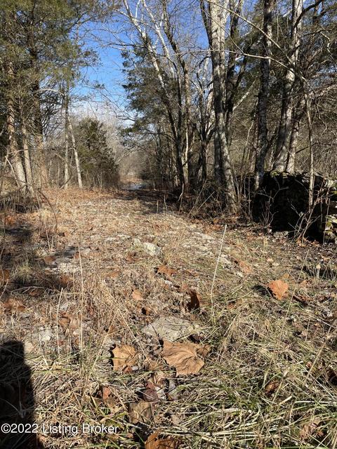 7901 Organ Creek Rd, Pendleton, KY 40055 photo 10