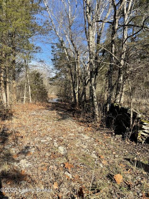 7901 Organ Creek Rd, Pendleton, KY 40055 photo 9