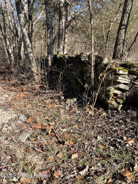 7901 Organ Creek Rd, Pendleton, KY 40055 photo 11