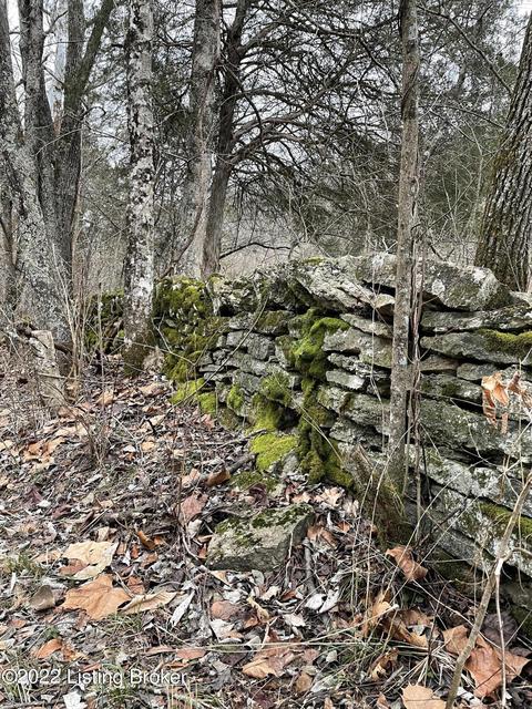 7901 Organ Creek Rd, Pendleton, KY 40055 photo 15