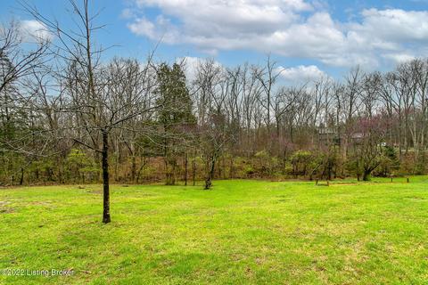 3403 Maple Leaf Dr, La Grange, KY 40031 photo 54