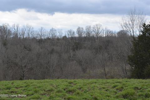 1 Chowning Ln, Bloomfield, KY 40008