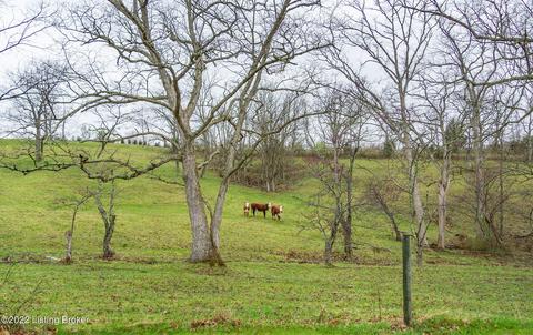 7423 W Hwy 42, Pendleton, KY 40055 photo 45