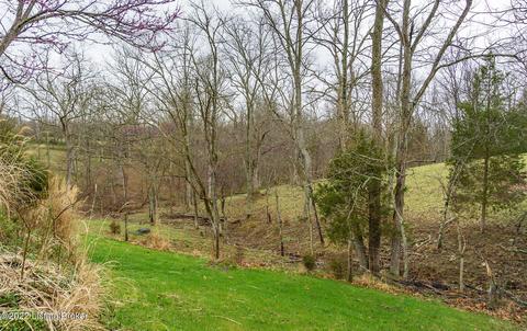 7423 W Hwy 42, Pendleton, KY 40055 photo 49