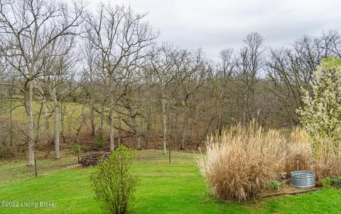 7423 W Hwy 42, Pendleton, KY 40055 photo 44
