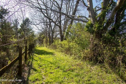 775 Cedar Run Rd, Pendleton, KY 40055 photo 70