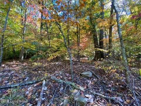 L11 Ted Logsdon Rd, Clarkson, KY 42726