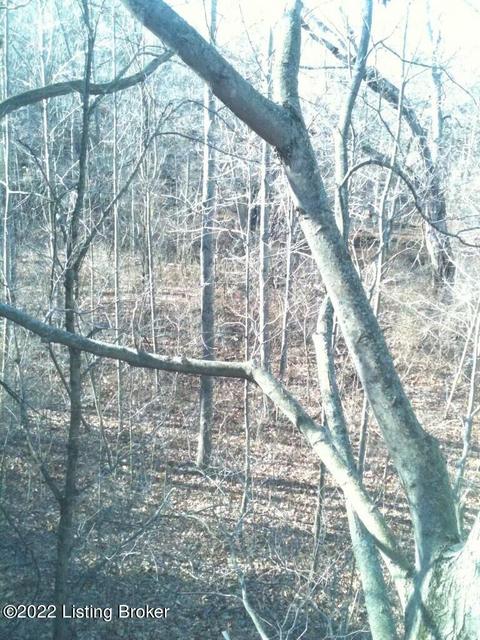 lot6 B Ashby Ln, Custer, KY 40115 photo 3