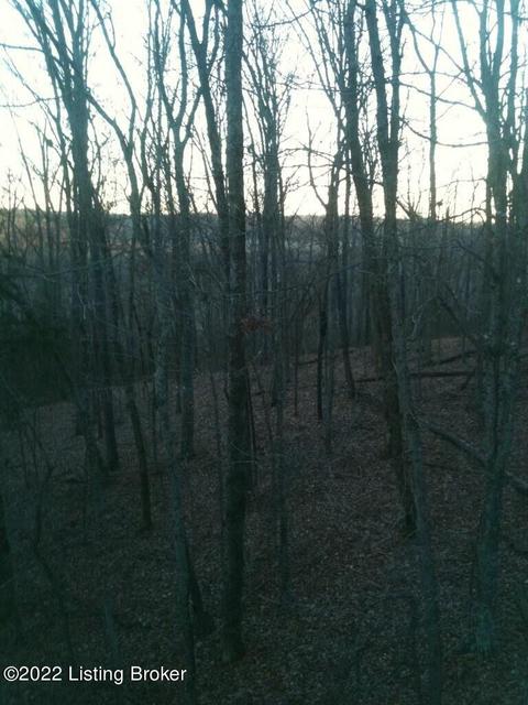 lot6 B Ashby Ln, Custer, KY 40115 photo 5