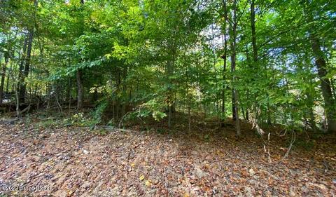 L57 Ted Logsdon Rd, Clarkson, KY 42726