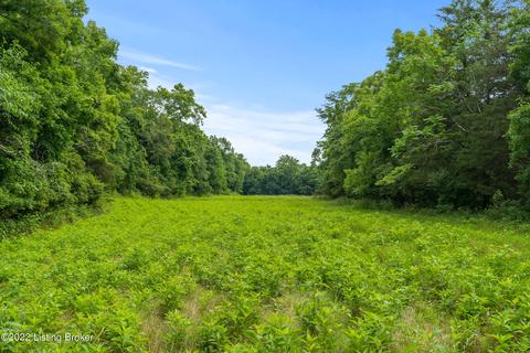 7903 Organ Creek Rd, Pendleton, KY 40055 photo 16