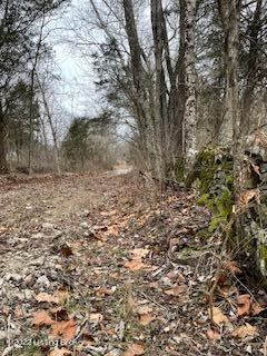 7903 Organ Creek Rd, Pendleton, KY 40055 photo 15