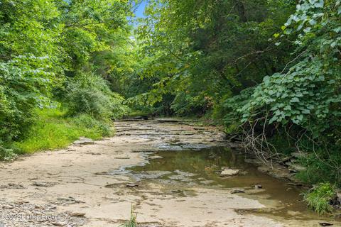 7903 Organ Creek Rd, Pendleton, KY 40055 photo 12