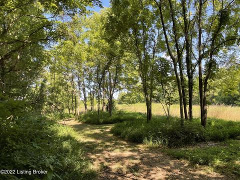 321 Fields Ln, Clarkson, KY 42726 photo 34