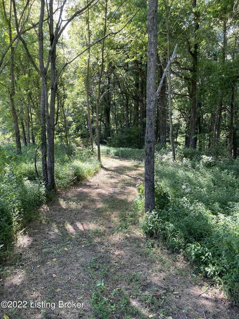 321 Fields Ln, Clarkson, KY 42726 photo 31