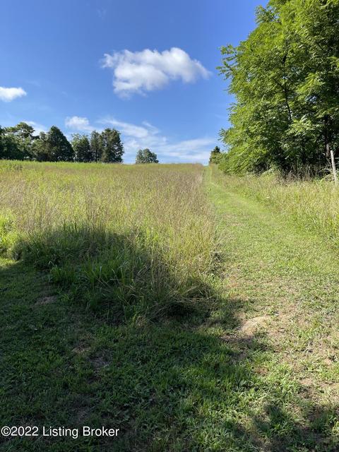 321 Fields Ln, Clarkson, KY 42726 photo 28