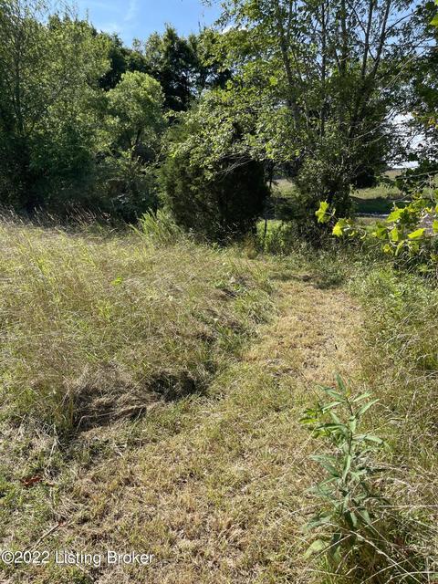 321 Fields Ln, Clarkson, KY 42726 photo 30