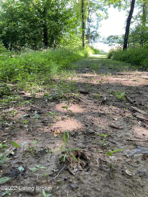321 Fields Ln, Clarkson, KY 42726 photo 37