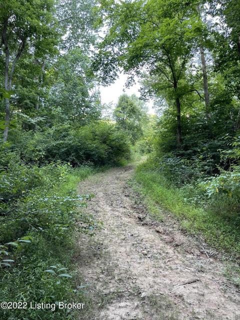 321 Fields Ln, Clarkson, KY 42726 photo 38