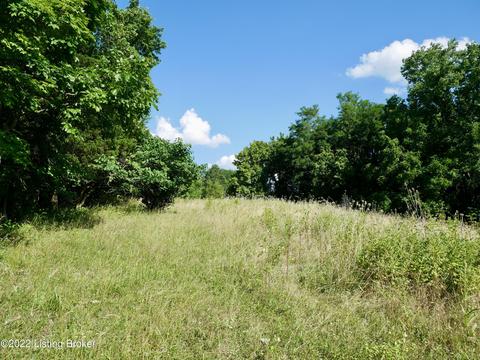 1813 Locust E Prong, Miton, KY 40045 photo 54