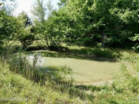1813 Locust E Prong, Miton, KY 40045 photo 57