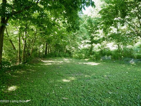 1813 Locust E Prong, Miton, KY 40045 photo 52