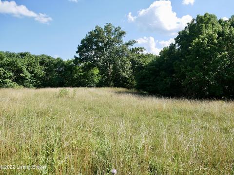 1813 Locust E Prong, Miton, KY 40045 photo 56