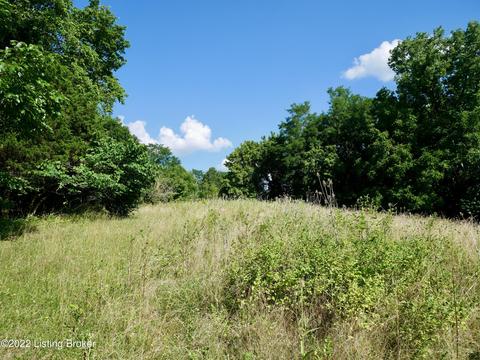 1813 Locust E Prong, Miton, KY 40045 photo 55