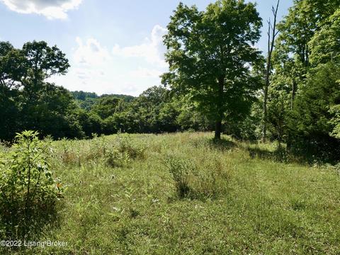 1813 Locust E Prong, Miton, KY 40045 photo 53