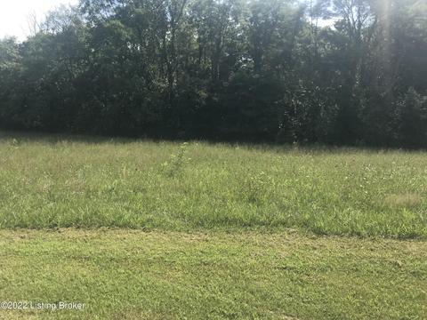 498 Cane Run Rd, Springfield, KY 40069 photo 1