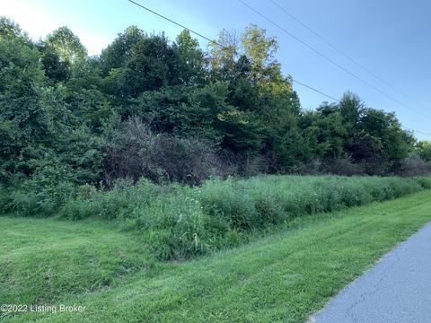 4 Wooded Ridge Rd, Sulphur, KY 40055