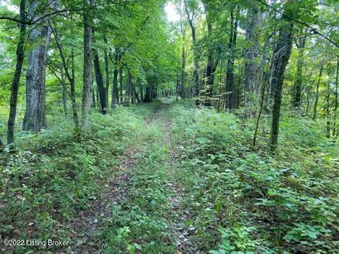 47 Old Moxley Rd, Worthville, KY 41098