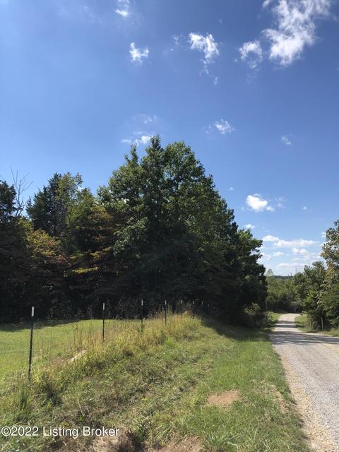 25 Valley View Dr, Pendleton, KY 40055 photo 10