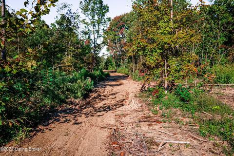 257 Buckys Rd, Webster, KY 40176 photo 11
