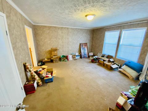 594 Settles Ln, Springfield, KY 40069 photo 19
