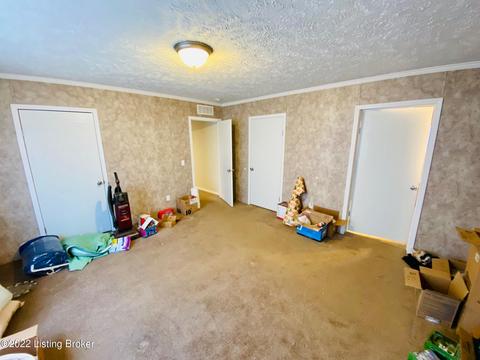 594 Settles Ln, Springfield, KY 40069 photo 20